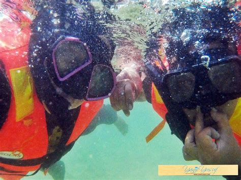 Taman Laut Trip Percutian Bajet Ke Pulau Tioman Pahang