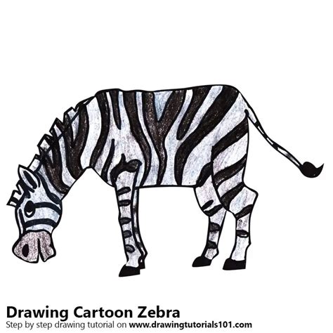 How To Draw A Zebra Step By Step