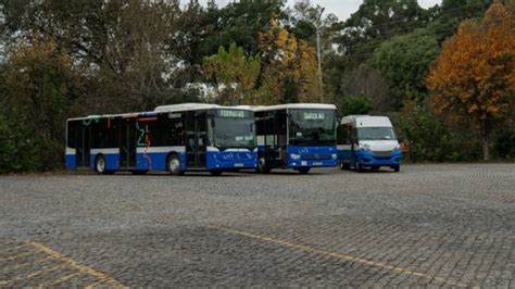 Já é possível consultar as linhas da nova rede de autocarros da