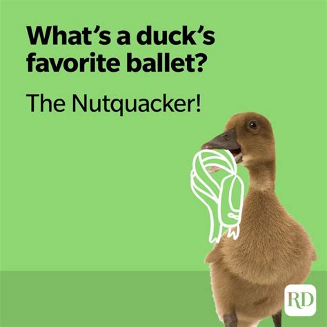 Hilarious Duck Jokes That Fit The Bill Duck Puns