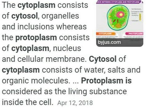 Differentiate Between Cytosol Cytoplasm And Protoplasm Brainly In