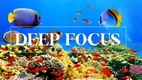 Deep Focus Music To Improve Concentration Relaxing Music For Study