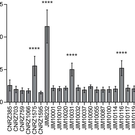 Differences In Biofilm Formation Between Natural S Thermophilus