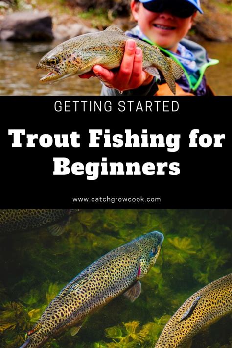 Trout Fishing For Beginners Tips And How To Get Set Up Fishing For