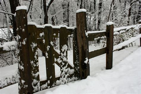 Wood Fence Maintenance | Pacific Fence & Wire Co.