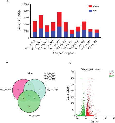 Differentially Expressed Genes Degs Identified In Wild Type Wt And