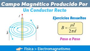 Campo Magnético producido por un conductor recto Ejercicios Resueltos