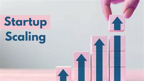 7 Essential Tips For Successfully Scaling Your Startup The Startuplab