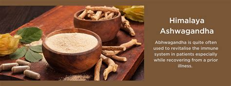 Himalaya Ashwagandha Health Benefits Uses And Important Facts