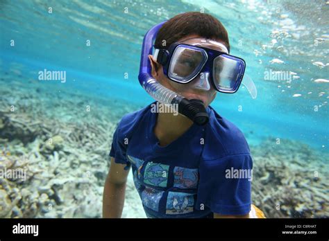 snorkeling in Tuvalu (MR Stock Photo - Alamy