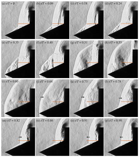 Indian Institute of Science