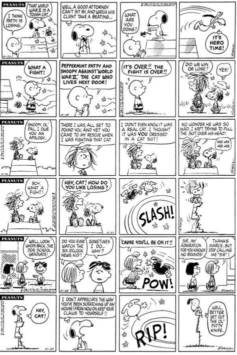 Pin By Pamela Bell English On Charles Schultz Peanuts Cartoon Strips