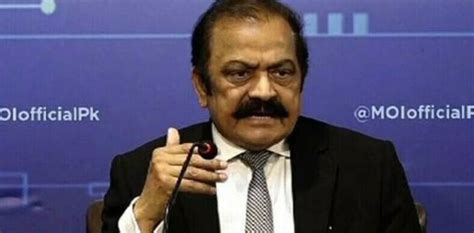 Rana Sanaullah Claims Pml N To Win Election 2024 With Majority