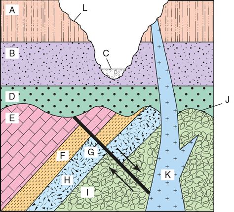 Solved Using the geologic cross section above, put the rock | Chegg.com