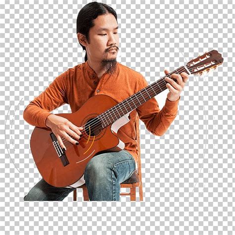 Acoustic Guitar Electric Guitar Bass Guitar Cuatro Tiple Png Clipart