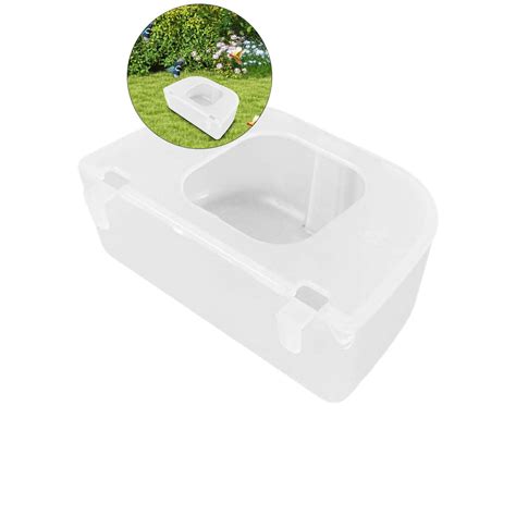 Dvruxg Bird Food Box Window Bird Feeders Parrot Automatic Feeder Birds