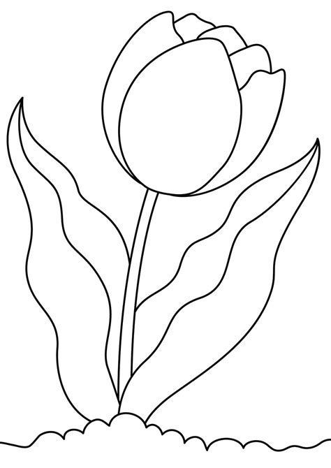 Tulip Printable Template Free Printable Papercraft Templates