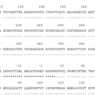 Alignment Of The Nucleotide Sequences Of Exon 2 A And The Deduced