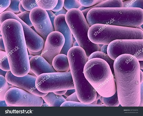 Digital Illustration Bacteria Model Bacteria Realistic Stock