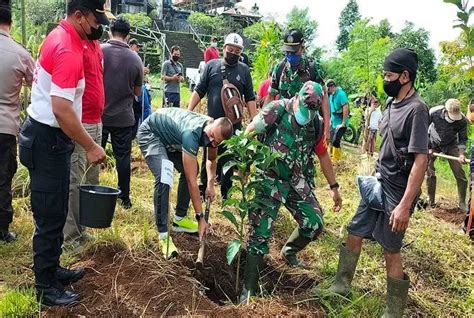 TNI Tanam Seribu Lebih Bibit Tanaman Keras Dan Produktif Bali Express