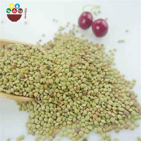 High Quality Bulk Dried Green Lentils From China Crop Bird Foods Buy