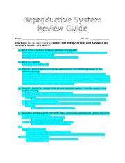 Reproductive System Review Guide 1 Docx Reproductive System Review