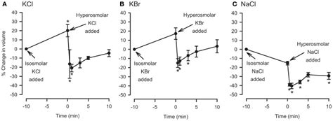 Effects Of Isosmolar Osmolyte Solutions And Hyperosmolar Osmolyte