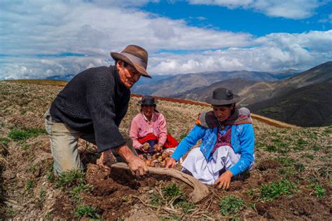 Imagenes Del Dia Del Campesino Peruano Dia Del Campesino Por Que Se