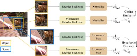 Hyperbolic Contrastive Learning For Visual Representations Beyond Objects Paper And Code