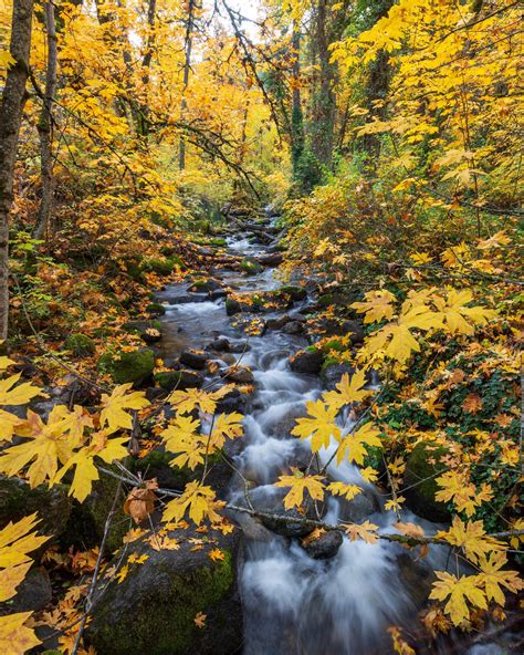 Lithia Park Ashland Oregon [oc] [1728x2160] Earthporn