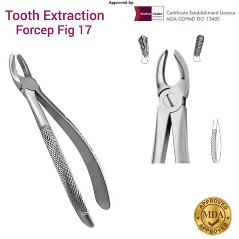 Dental Tooth Extraction Forceps Fig Upper Molars Right Adult