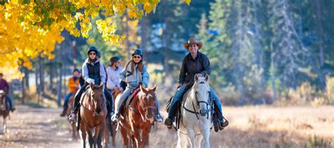 Banff Trail Riders | Banff & Lake Louise Tourism