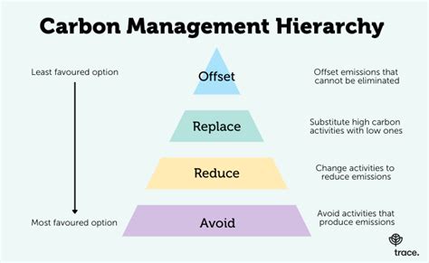 Carbon Management What Is It And Why Is It Important Trace