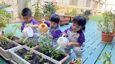 首頁 新界婦孺福利會長發幼兒學校 Ntwandjwa Ltd Cheung Fat Nursery School