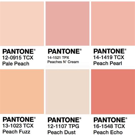 Pantone 2025 Peach Fuzz Palette Amira Rose