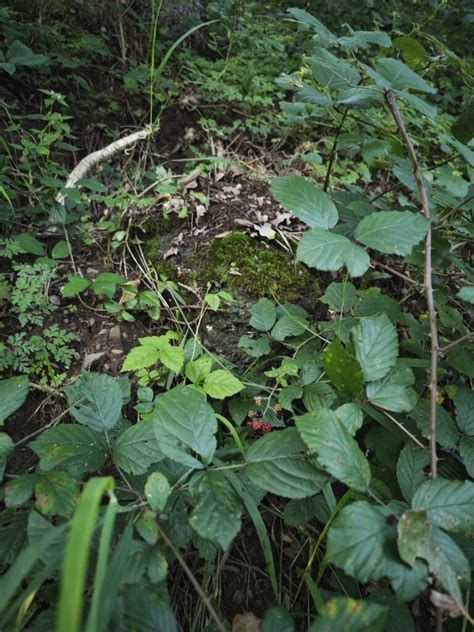 Auf Den Spuren Des Bergbaus In Weilburg Limburgweilburg Entdecken De