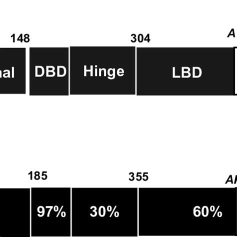 Schematic Representation Of The Modular Structures Of Er And Er The