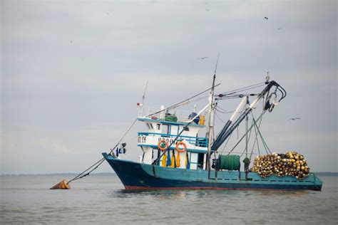 Comment devenir marin pêcheur Mer Océan