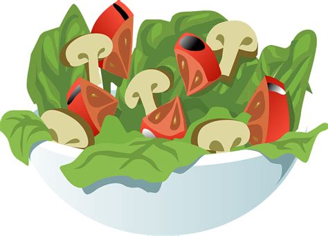 Lettuce Vector Png