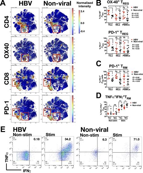 Multidimensional Analyses Reveal Distinct Immune Microenvironment In