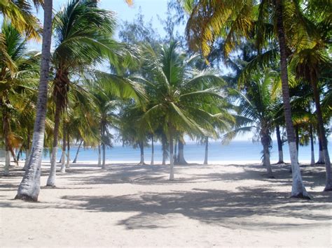 Aigrie On Twitter RT AfricaFactsZone Wimbe Beach In Mozambique