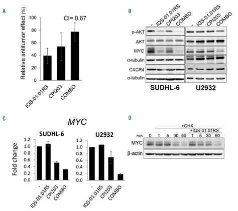 Pharmacological Modulation Of CXCR4 Cooperates With BET Bromodomain