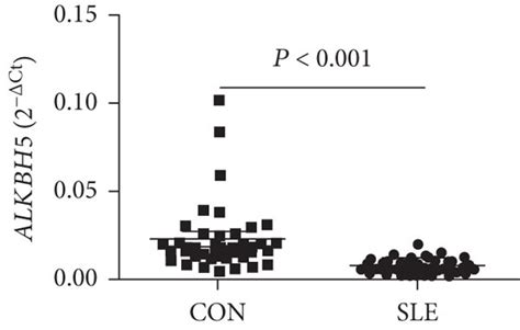 Differential Expression Validation Of Peripheral Blood METTL3 WTAP