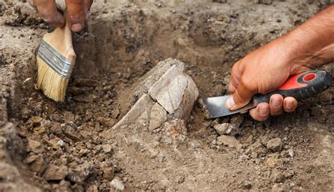 Archäologischer Fund Äußerst seltene Objekte aus der Bronzezeit