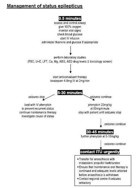 A Diagram Showing The Steps In How To Use It For Medical Purposes