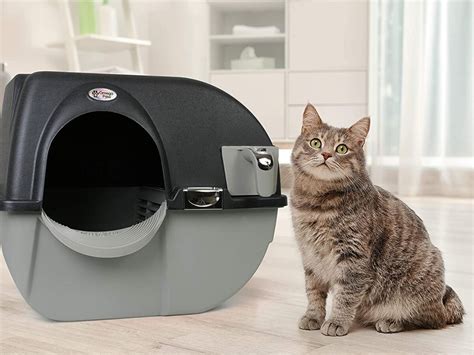 Best Automatic Cat Litter Atelier Yuwa Ciao Jp