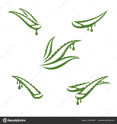 Aloe Vera Set Collection Icon Aloe Vera Vector Illustration Stock