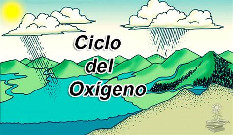 Ciclo Del Oxigeno Dibujo Infoupdate Org