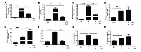 Cbx Inhibits Lps Induced Inflammatory Cytokine Expression In Primary