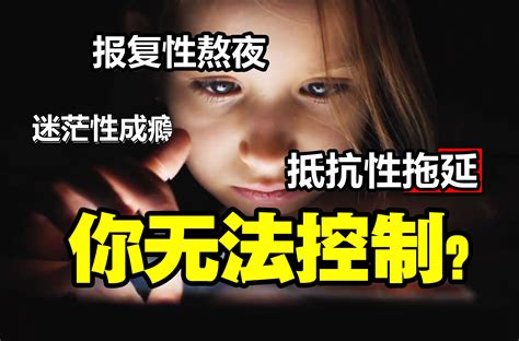 视频去哪了呢？哔哩哔哩bilibili